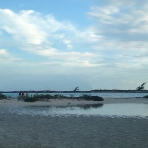 Meet your Posher, Bailey